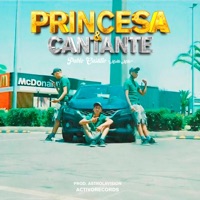 Princesa y cantante (feat. Astrolavision) - Single - Pablocastillo