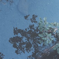 Diary - Single - Martin Martyn