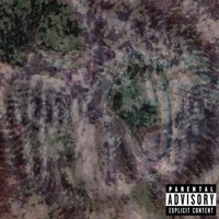 ashonthegraphic (feat. Mannyrolledthis) - Single - Lil Hadey