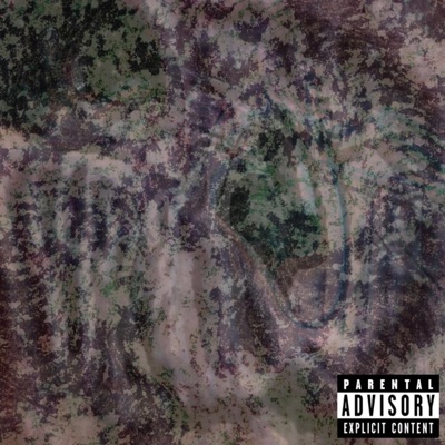 ashonthegraphic (feat. Mannyrolledthis) - Single