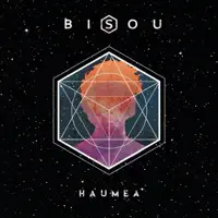 Shiny Hard Leather — Bisou