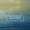 Calm Oasis: Soothing Instrumentals