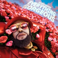 Everything Gorgeous - Hayden Hendrix