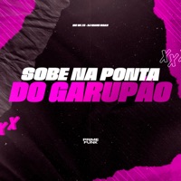 Sobe Na Ponta Do Garupão - Single - DJ MANO MAAX, MC WL ZS & Prime Funk