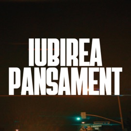 Iubirea Pansament Flo Nocturn