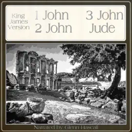 One John, Two John, Three John, Jude (Unabridged)