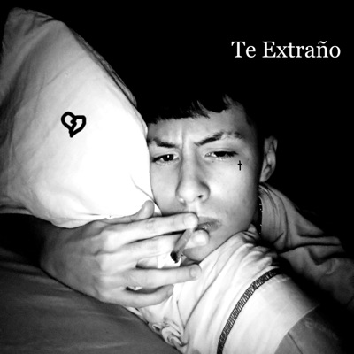 Te Extraño - Single
