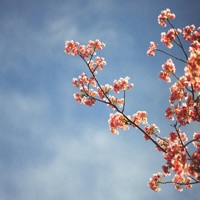 Midday Reverie - Single - Moori Beats