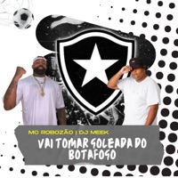 Vai Tomar Goleada do Botafogo - Single - Mc Robozão & DJ Meek