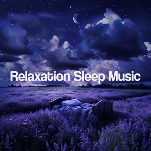 Relaxation Sleep Music