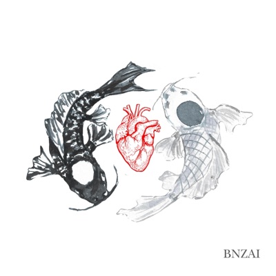 ¿A Dónde Se Va Cuando Te Rompen El Corazón?