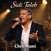 Icon Sidi Taleb - Single