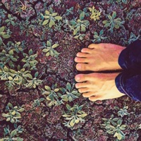 Caquinhos - Single - Bendor