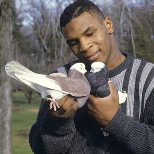 Mic Tyson II