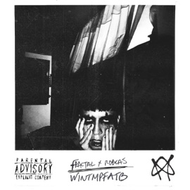WINTMPFATB (feat. Robcas & Malvi) Fractalxco