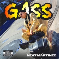GASS - Single - Neat Martinez
