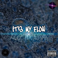 It's my flow - Single - Dementes de Mc's