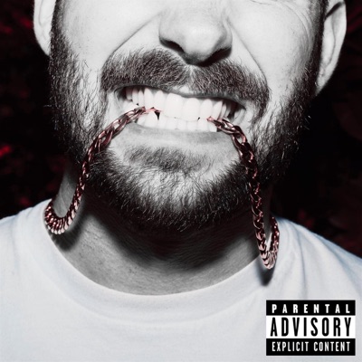 SHAKE IT - Single