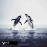 Whales - Single - Lew Heart, FAVIA & Luc Rushmere