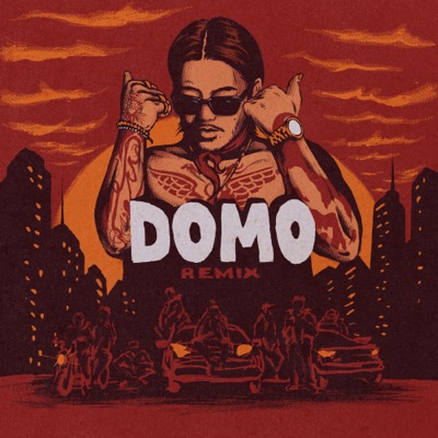 DOMO Remix (feat. YLN Foreign, JI HYEON MIN, Don Mills, ODEE, KHAN, LIL HODONG, EK & GV) - Single