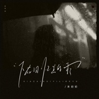 下在回忆里的雨 - Single - 禾初初