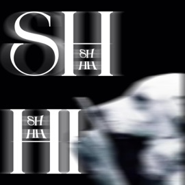 SHHH Métaphore & Prisko