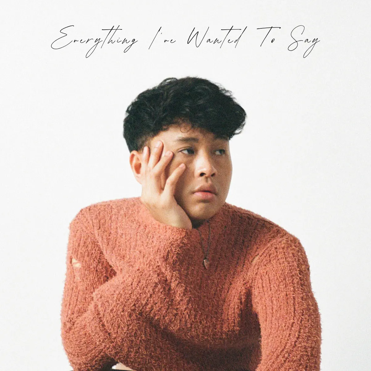 Rangga Jones - Everything I've Wanted To Say (2025) [iTunes Plus AAC M4A]-新房子