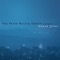 New York City (feat. Norah Jones) [Radio Edit] - The Peter Malick Group lyrics