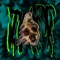 PREENING - Tulpa Martyr lyrics
