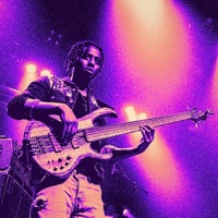 PHUNKY REGGAE - Single - RAY VIBES