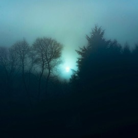 scars that shaped me... ist & Vinter