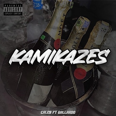 KAMIKAZES (feat. Gallardo) - Single