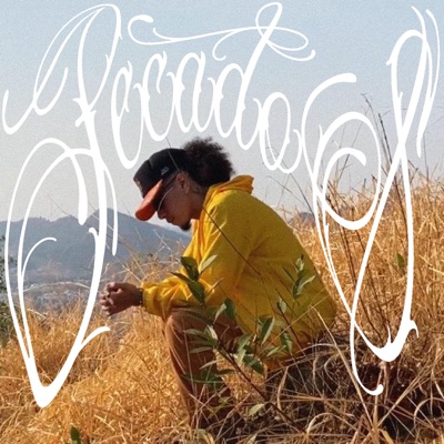 Pecados - Single