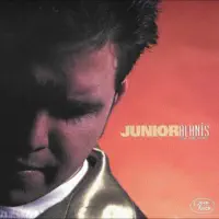 Hay un Amor — Junior Alanis