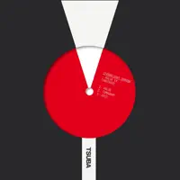2012 — Strobelight Shadow