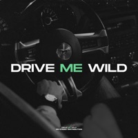 Drive Me Wild - Single - Druman