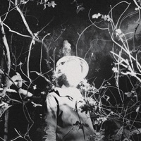 Tarântula - Single - Cachorro Grande