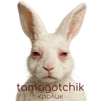 Кролик - Single - tamagotchik