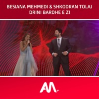 Art Media +, Besiana Mehmedi & Shkodran Tolaj - Drini bardh e zi