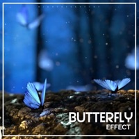 Butterfly Effect - MightBeSketchy