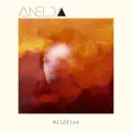 Wildfire
