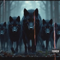 Wolfgang Freestyle - Single - Northern League