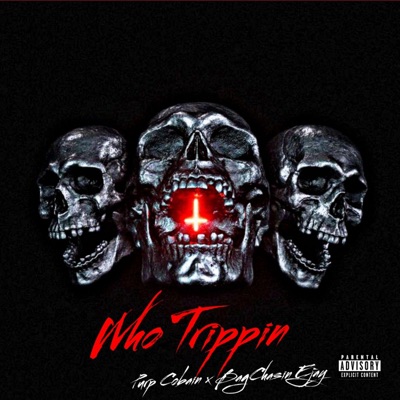 Who Trippin (feat. BagChasin Ejay) - Single