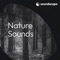 Dark Forest - Natural Sound Makers lyrics