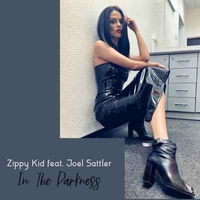 In the Darkness (feat. Joel Sattler) - Single