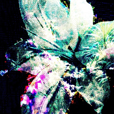exotic* - EP