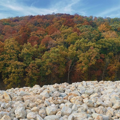 Graveyard (feat. Davey) - Single