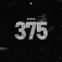 375 - Single - Moishe