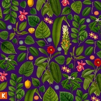 Album cover for Zion by Kings Kaleidoscope