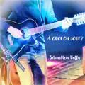  - Sébastien Velly – Pas la peine 